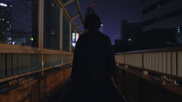 Video Reference: night, darkness, light, lighting, screenshot, sky, midnight, evening, Person