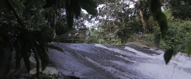 Video Reference: Nature, Nature reserve, Natural environment, Wilderness, Jungle, Tree, Geological phenomenon, Old-growth forest, Forest, Rainforest