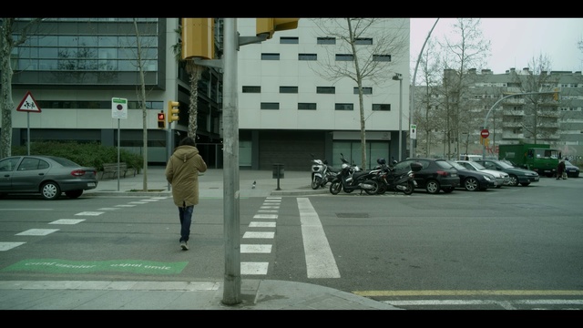 Video Reference: Mode of transport, Street, Road, Snapshot, Pedestrian, Urban area, Vehicle, Lane, Car, Zebra crossing, Person