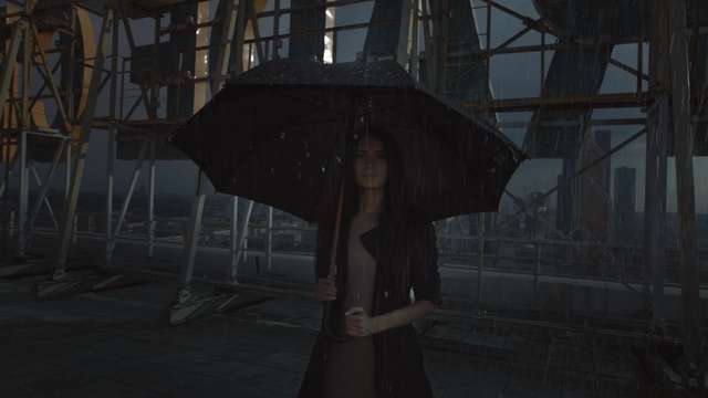 Video Reference: umbrella, canopy, shelter, protective covering, covering, Person