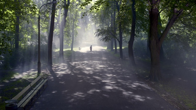 Video Reference: Nature, Atmospheric phenomenon, Tree, Natural landscape, Natural environment, Morning, Light, Forest, Woodland, Mist, Outdoor, Bench, Park, Grass, Empty, Path, Sitting, Sun, Road, Water, Wooden, Area, Street, Trail, Covered, River, Large, Field, Man, Snow, Fog, Way, Plant, Day, Wooded