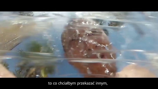 Video Reference: Water, Organism, Close-up, Food