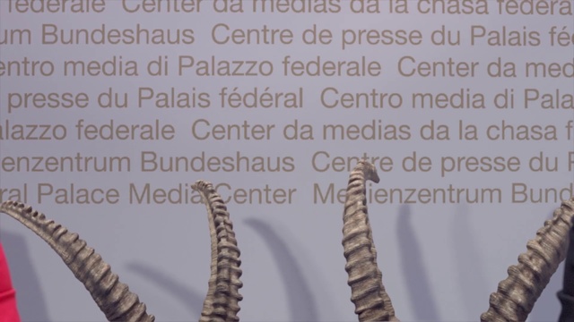 Video Reference: Text, Font, Organism, Tree, Adaptation, Plant, Vascular plant, Fur