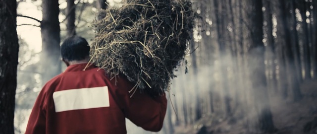 Video Reference: Hair, Tree, Adaptation, Branch, Beard, Plant, Photography, Facial hair, Black hair, Forest, Person