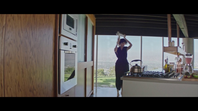 Video Reference: Photograph, Snapshot, Standing, Dress, Room, Photography, Window, Fun, House, Door