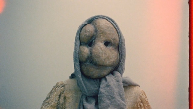 Video Reference: organism, snout