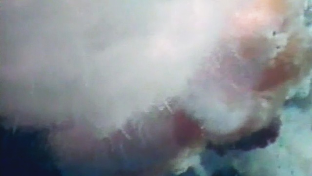 Video Reference: underwater, sky, atmosphere, nose, geological phenomenon, cloud, marine invertebrates, marine biology, smoke, close up