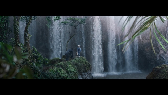 Video Reference: Waterfall, Nature, Body of water, Water resources, Nature reserve, Vegetation, Natural landscape, Water, Jungle, Watercourse