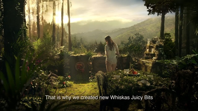 Video Reference: forest, vegetation, jungle, screenshot, old growth forest, sunlight, biome, rainforest, woodland, landscape