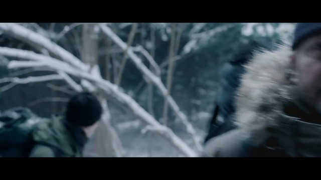 Video Reference: Tree, Organism, Wildlife, Branch, Fur, Primate, Plant, Photography, Black-and-white