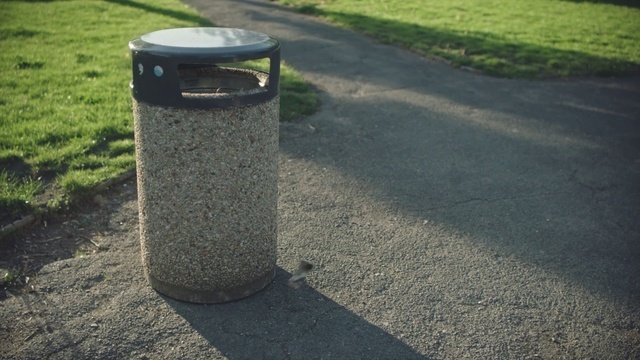Video Reference: Waste container, Road surface, Cylinder, Asphalt, Grass, Concrete, Granite, Recycling bin, Road, Waste containment
