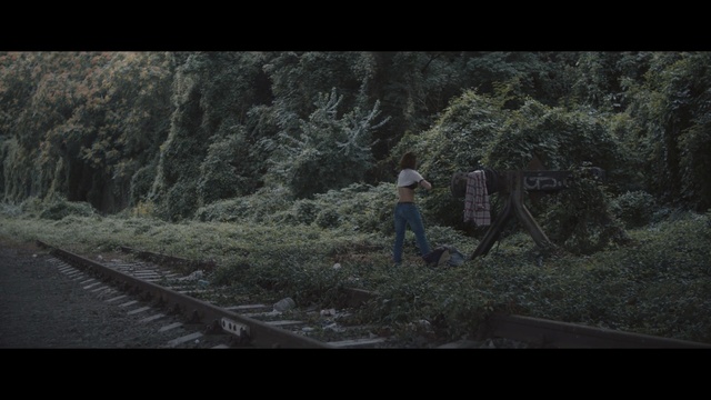 Video Reference: Nature, Tree, Forest, Photography, Grass, Plant, Screenshot, Landscape, Woodland, Darkness, Person