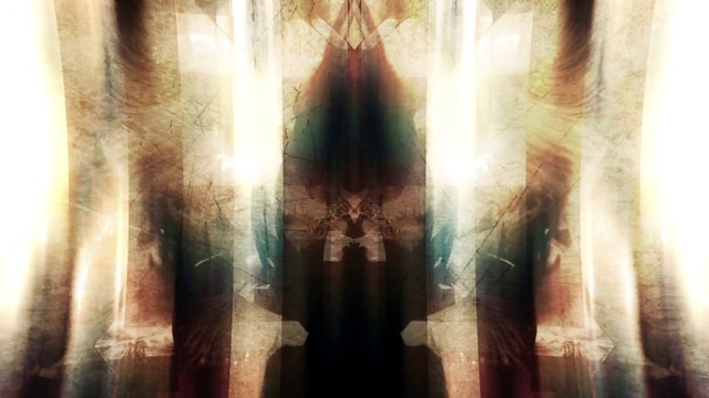 Video Reference: Light, Tree, Forest, Sunlight, Symmetry, Photography, Cg artwork, Reflection, Darkness, Shadow