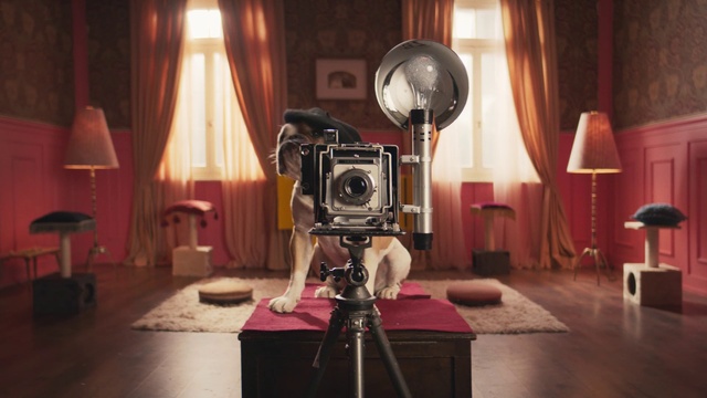 Video Reference: Photograph, Room, Cameras & optics, Camera accessory, Interior design, Photography, Still life photography, Stock photography, Cinematographer, Videographer