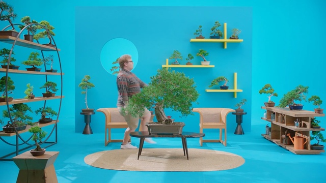 Video Reference: Turquoise, Room, Majorelle blue, Furniture, Interior design, Table, Houseplant, Organism, Tree, Plant, Person