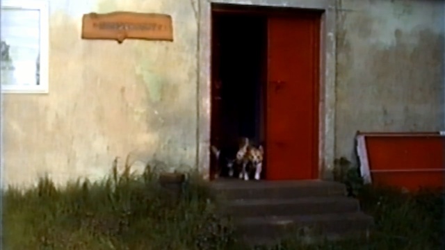 Video Reference: property, home, house, window, facade, grass, door, hacienda