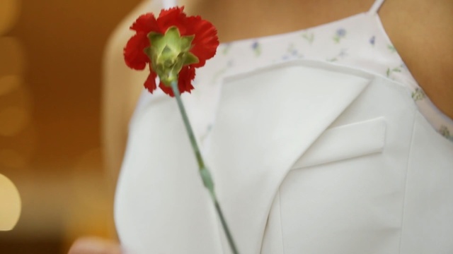 Video Reference: flower, petal, flower arranging, floristry, flower bouquet, textile, material, hand, floral design, wedding ceremony supply, Person