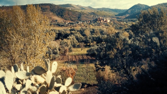 Video Reference: Mountainous landforms, Wilderness, Vegetation, Natural landscape, Natural environment, Plant community, Shrubland, Mountain, Tree, Sky