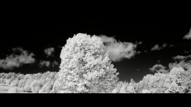 Video Reference: sky, white, black, black and white, monochrome photography, cloud, photography, atmosphere, monochrome, daytime