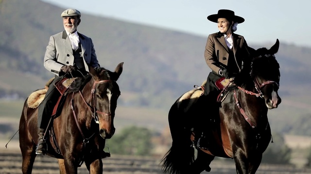 Video Reference: horse, rein, western riding, bridle, horse like mammal, horse tack, stallion, pack animal, equestrian, horse harness, Person