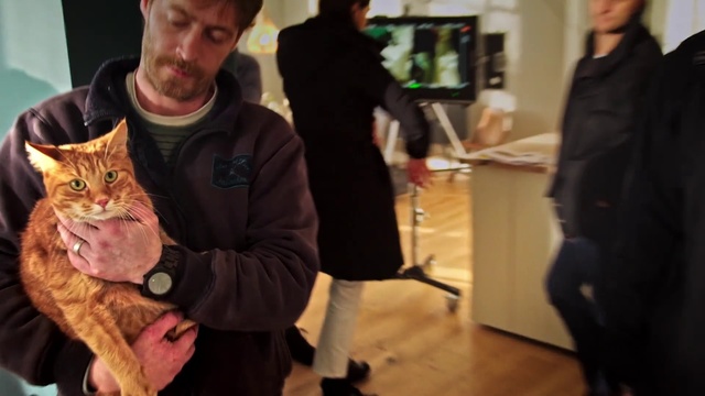 Video Reference: Cat, Felidae, Small to medium-sized cats, Fur, Fun, Whiskers, Art