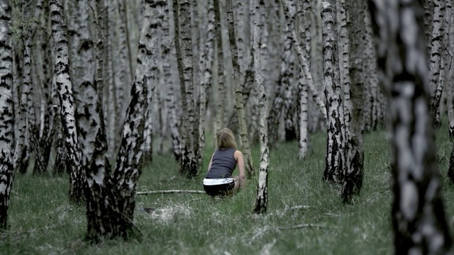 Video Reference: tree, nature, woody plant, plant, water, woodland, birch, forest, trunk, grove, Person
