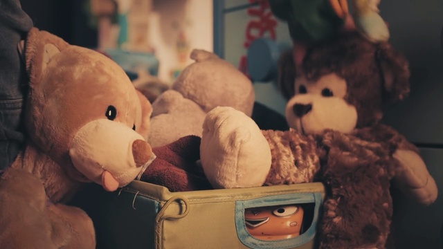 Video Reference: skin, teddy bear, stuffed toy, toy, girl, child, snout, Person