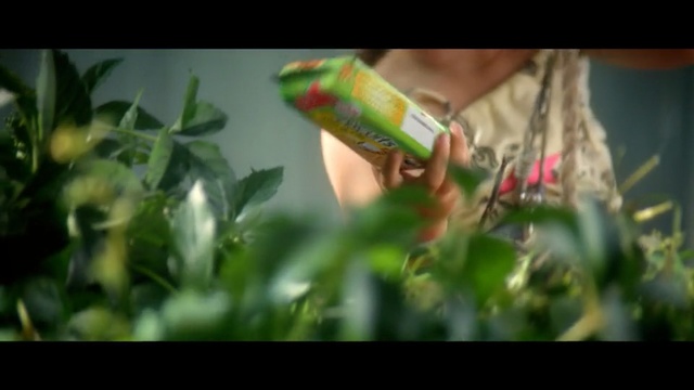 Video Reference: Nature, Green, Leaf, Snapshot, Plant, Bottle, Drink, Houseplant, Organism, Grass, Person