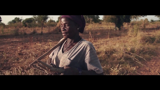 Video Reference: screenshot, soil, grass, grass family, agriculture, harvest, tree, sky, crop, savanna, Person