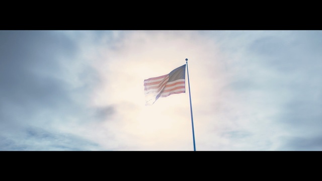 Video Reference: Flag, Sky, Cloud, Flag of the united states, Tree, Stock photography, Meteorological phenomenon, Cumulus, Veterans day