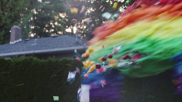 Video Reference: Green, Pink, Tree, Leaf, Fun, Sunlight, Adaptation, Plant, Leisure, Festival