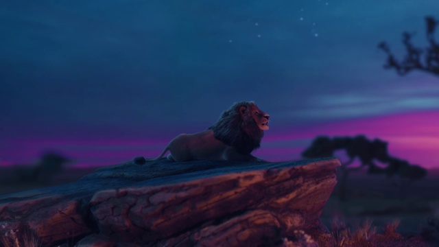 Video Reference: Sky, Sea, Screenshot, Lion, Cloud, Horizon, Ocean, Darkness, Photography, Night