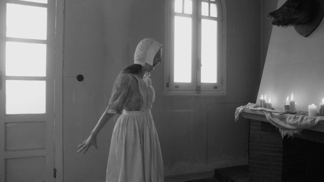 Video Reference: White, Photograph, Black, Room, Black-and-white, Window, Standing, Dress, Photography, Monochrome photography, Indoor, Person, Woman, Looking, Mirror, Girl, Front, Photo, Hair, Small, Young, Cat, Man, Door, Brushing, Wall, Black and white, Clothing, Wedding dress