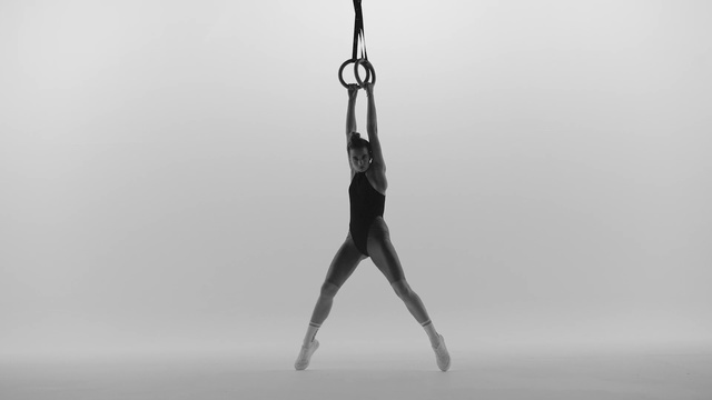 Video Reference: Balance, Acrobatics, Photography, Artistic gymnastics, Metal