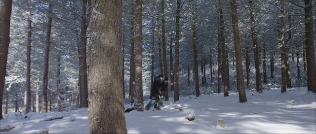 Video Reference: snow, winter, tree, ecosystem, forest, woodland, freezing, spruce fir forest, frost, temperate coniferous forest, Person