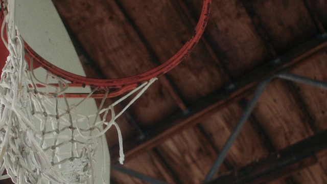 Video Reference: Wood, Twig, Mesh, Tints and shades, Net, Pattern, Electrical wiring, Hardwood, Natural material, Wire