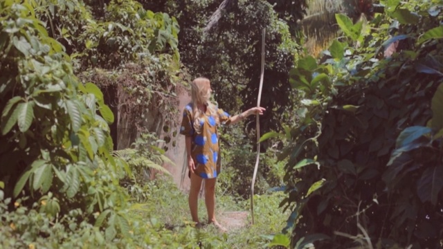 Video Reference: Vegetation, Jungle, Nature, Nature reserve, Natural environment, Old-growth forest, Wilderness, Forest, Plant community, Rainforest, Person