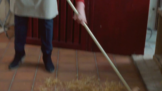 Video Reference: Floor, Flooring, Hardwood, Leg, Wood, Human leg