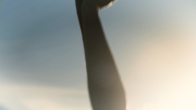 Video Reference: Sky, Beige