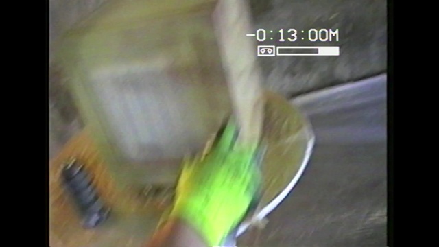 Video Reference: brush, paintbrush, applicator, vegetable, leek, produce