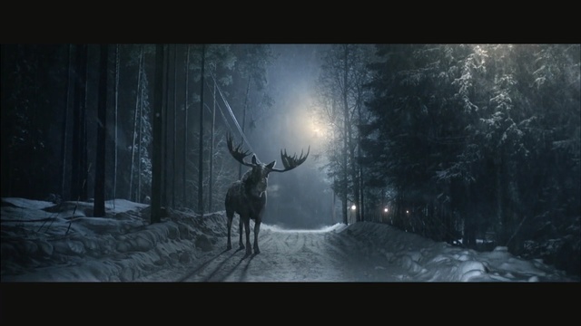 Video Reference: Darkness, Deer, Light, Atmospheric phenomenon, Reindeer, Snapshot, Wildlife, Screenshot, Atmosphere, Forest