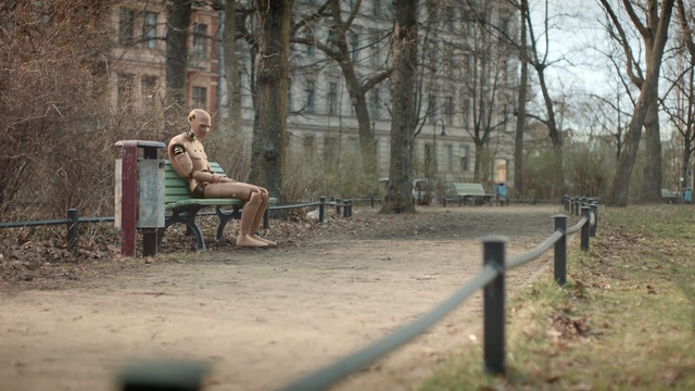 Video Reference: Tree, Woodland, Branch, Grass, Woody plant, Sitting, Forest, Furniture, Leaf, Spring, Person