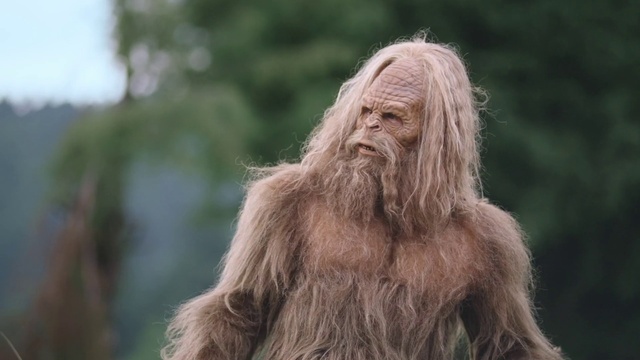 Video Reference: Primate, Plant, Beard, Human body, Liver, Grass, Terrestrial animal, Facial hair, Tree, Natural landscape