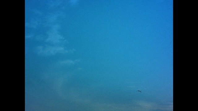 Video Reference: sky, blue, daytime, atmosphere, underwater, ecosystem, aqua, azure, cloud, horizon