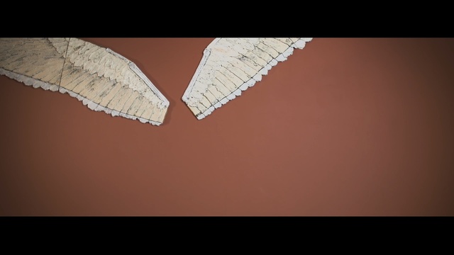 Video Reference: close up, macro photography, wood, angle, wing, computer wallpaper, darkness, sky