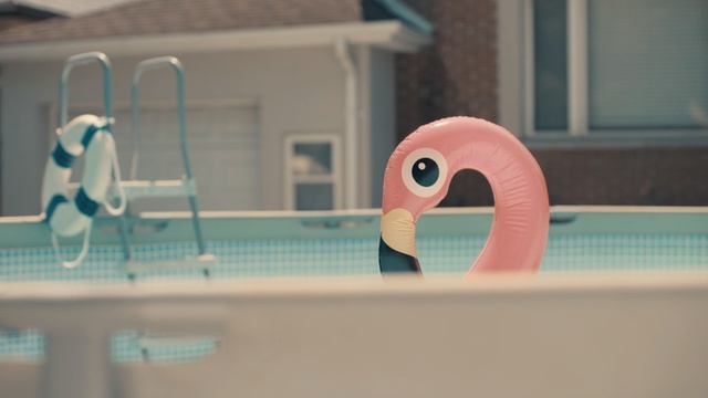 Video Reference: Bird, Pink, Swimming pool, Flamingo, Water bird, Animation, Games