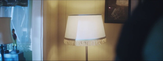 Video Reference: Lampshade, Lighting accessory, Light fixture, Lamp, Lighting, Room, Ceiling, Home accessories, Shade, Sconce