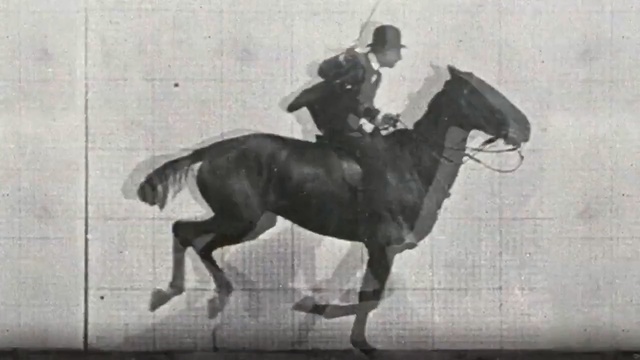 Video Reference: Bridle, Horse, Rein, Saddle, Stallion, Horse tack, Horse trainer, Animal sports, Western riding, Horse supplies