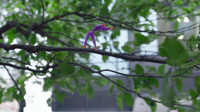 Video Reference: Branch, Flower, Plant, Leaf, Tree, Twig, Botany, Spring, Plant stem, Morning glory
