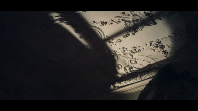 Video Reference: darkness, sky, photography, atmosphere, screenshot, black and white, midnight, still life photography, computer wallpaper, night